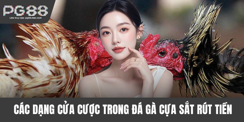 Các dạng cửa cược trong đá gà cựa sắt rút tiền