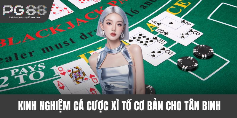 Kinh nghiệm cá cược Xì Tố cơ bản cho tân binh