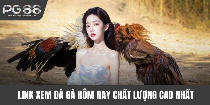 Link xem đá gà hôm nay chất lượng cao nhất